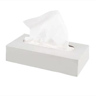 FACIAL TISSUES WHITE